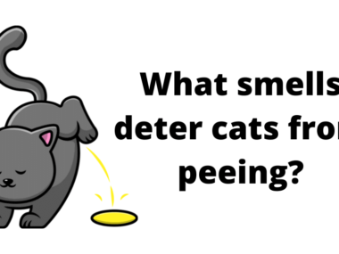 What smells deter cats from peeing