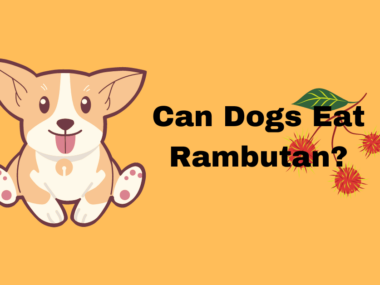 Can Dogs Eat Rambutan