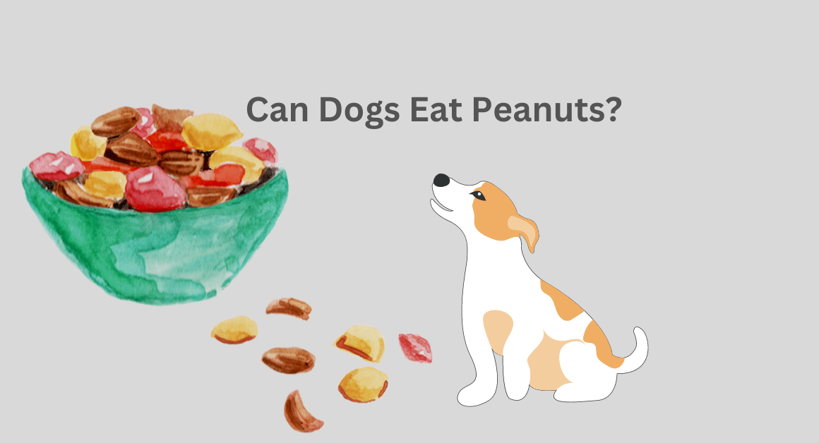 Can Dogs Eat Peanuts