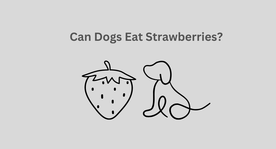 Can Dogs Eat Strawberries