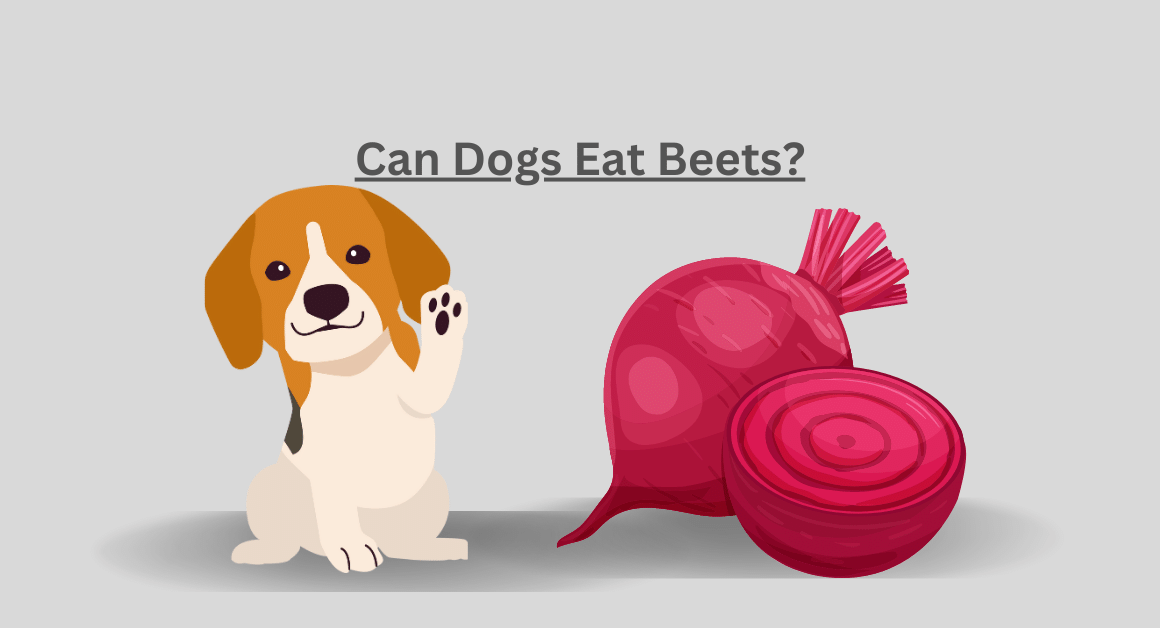 Can Dogs Eat Beets