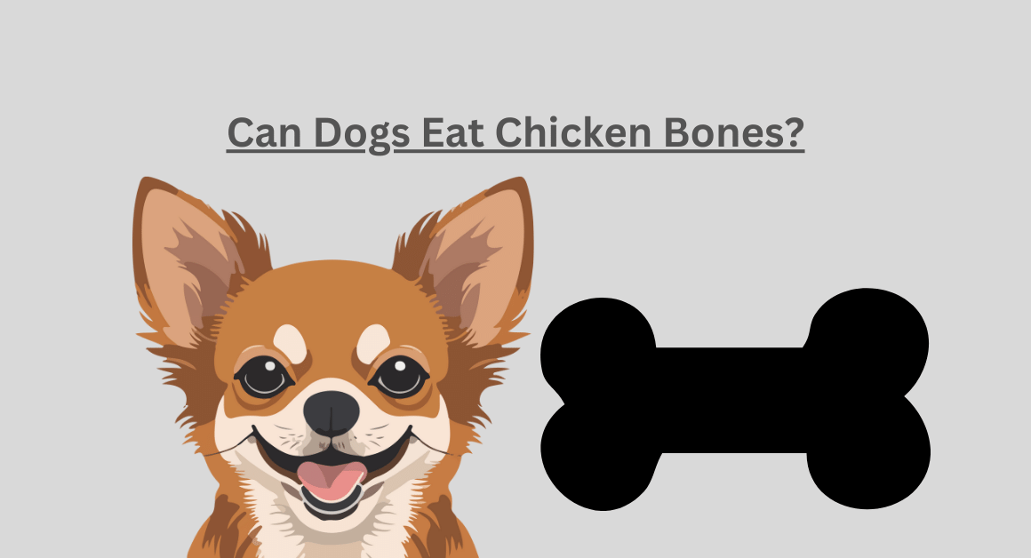 Can Dogs Eat Chicken Bones