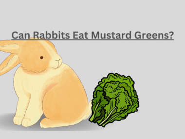 Can Rabbits Eat Mustard Greens