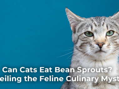 Can Cats Eat Bean Sprouts?